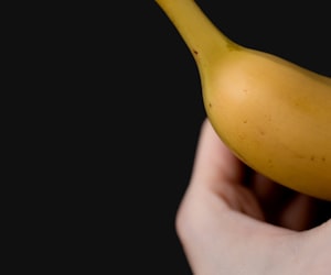 plantain banana
